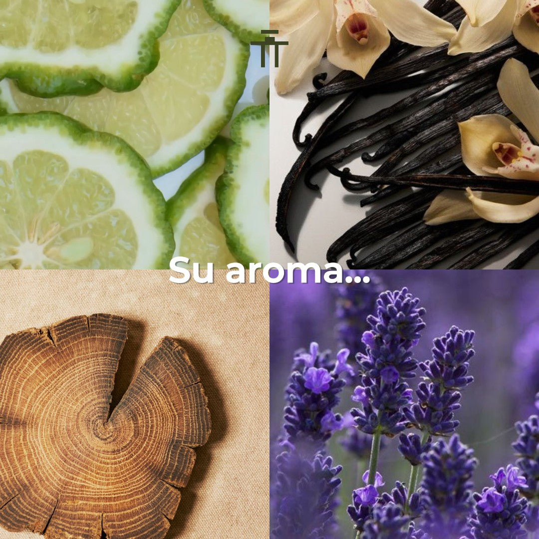 Ahli Pegasus 60ml EDP Unisex