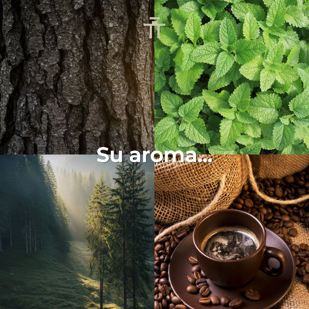 Devier Alma del Mar  80ml Extrait de Parfum Unisex