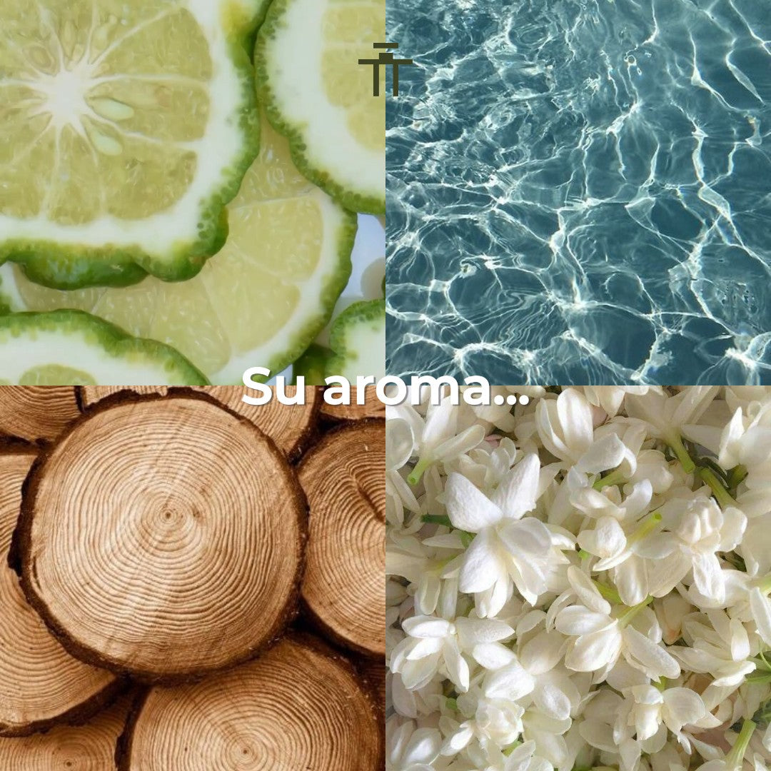 Gevill France Majestic 120ml Elixir de Parfum Unisex