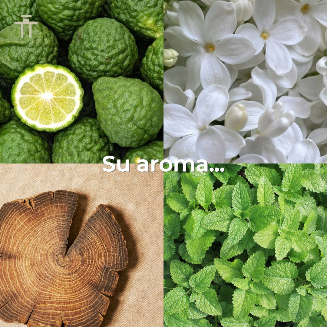 Orientica Exclusive Azure Fantasy Extrait de Parfum 80ml Unisex