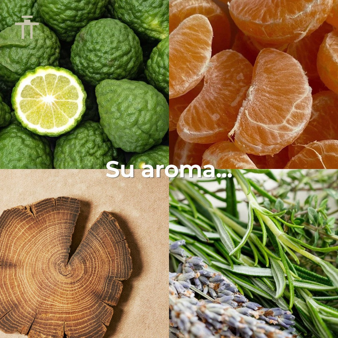 Sceptre Malachite Maison Alhambra 100ml EDP Unisex