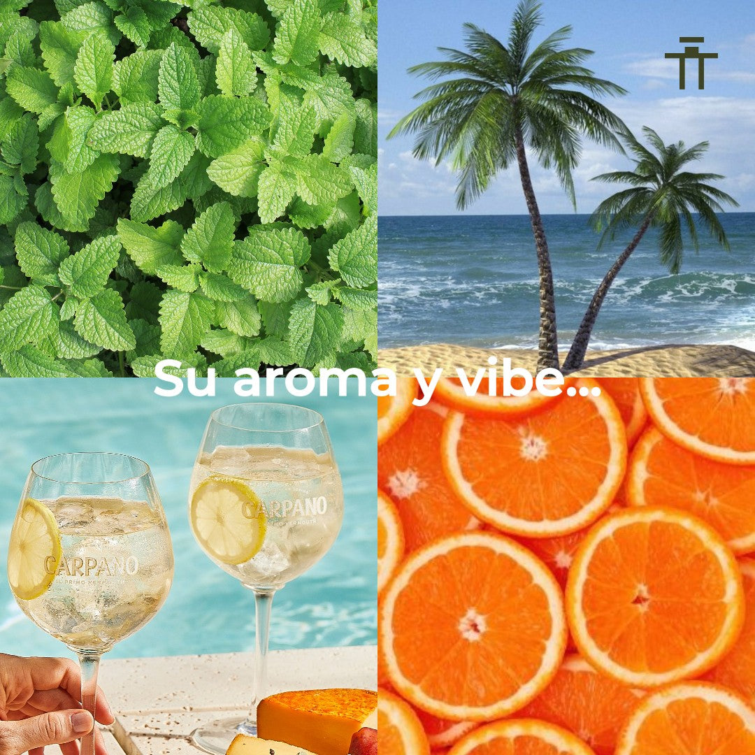 Jean Lowe Vibe Maison Alhambra 100ml EDP Unisex