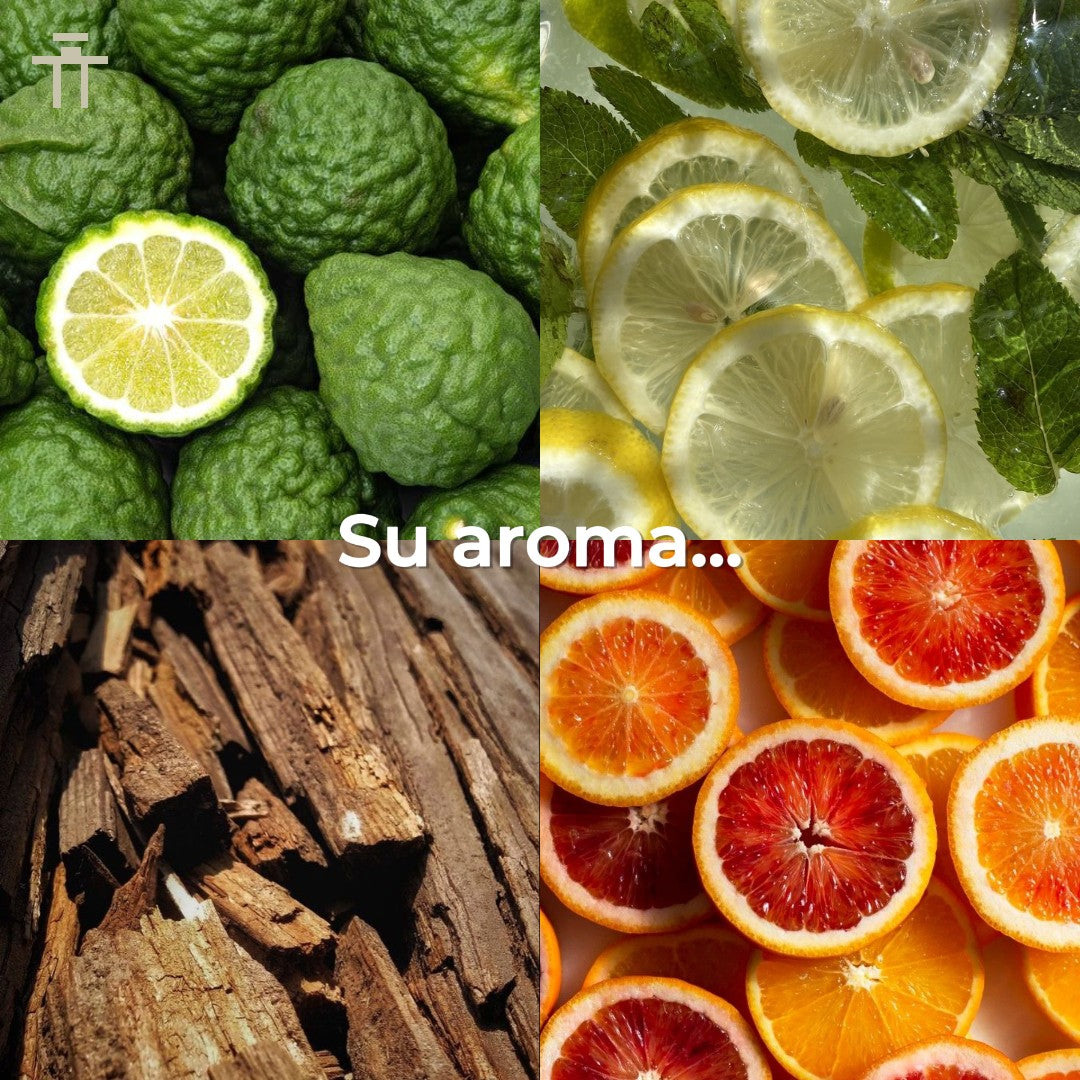 Versace Eros Energy 100ml EDP Hombre