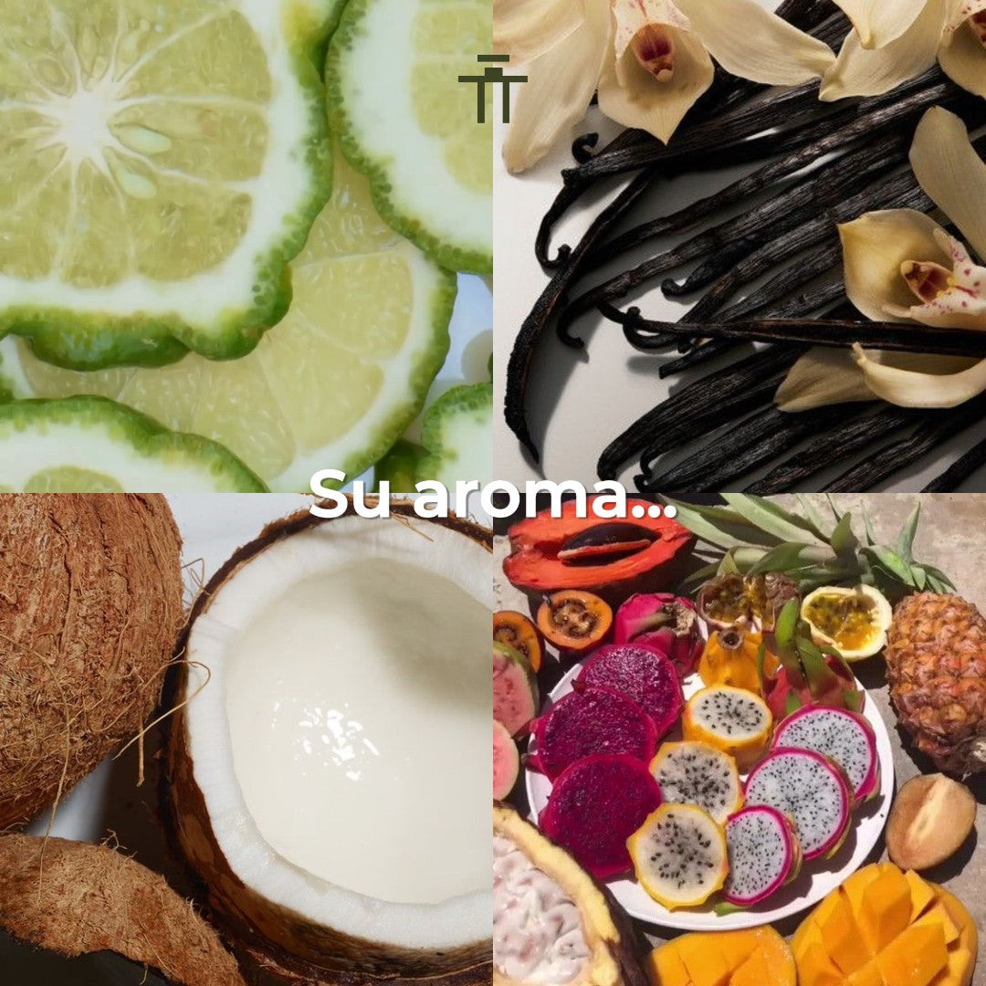 Armaf Odyssey Artisto 100ml EDP Unisex