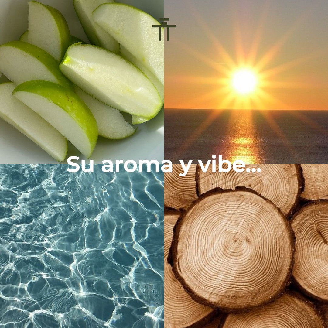 Armaf Odyssey Bahamas 100ml EDP Unisex