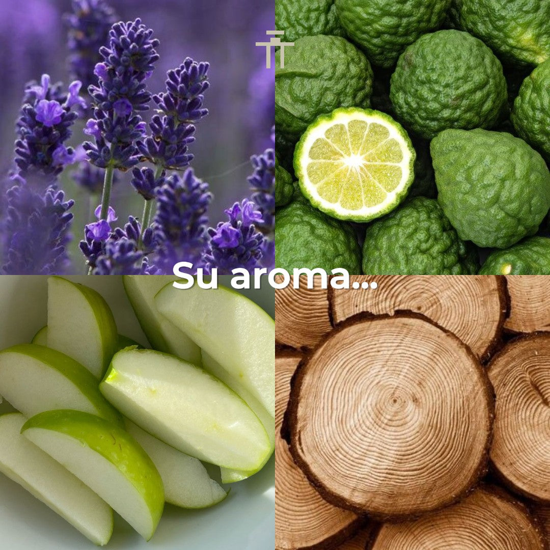 Game Of Spades Emerald 90ml Parfum Unisex