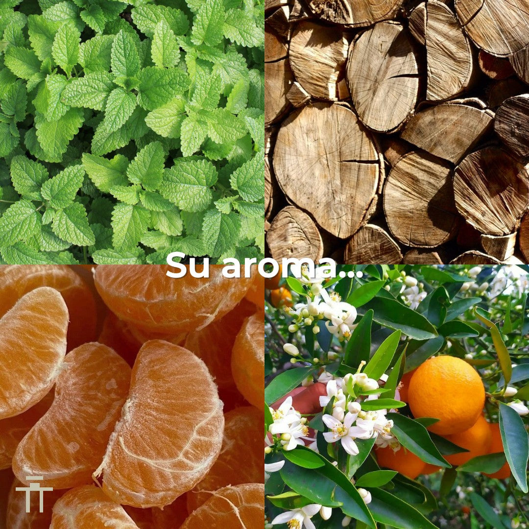 Lattafa Pride Art Of Universe 100ml EDP Unisex