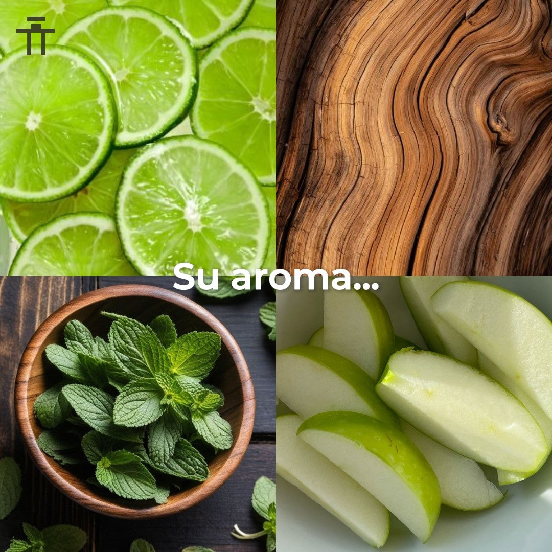 Maktoub Eternal 100ml Parfum Unisex