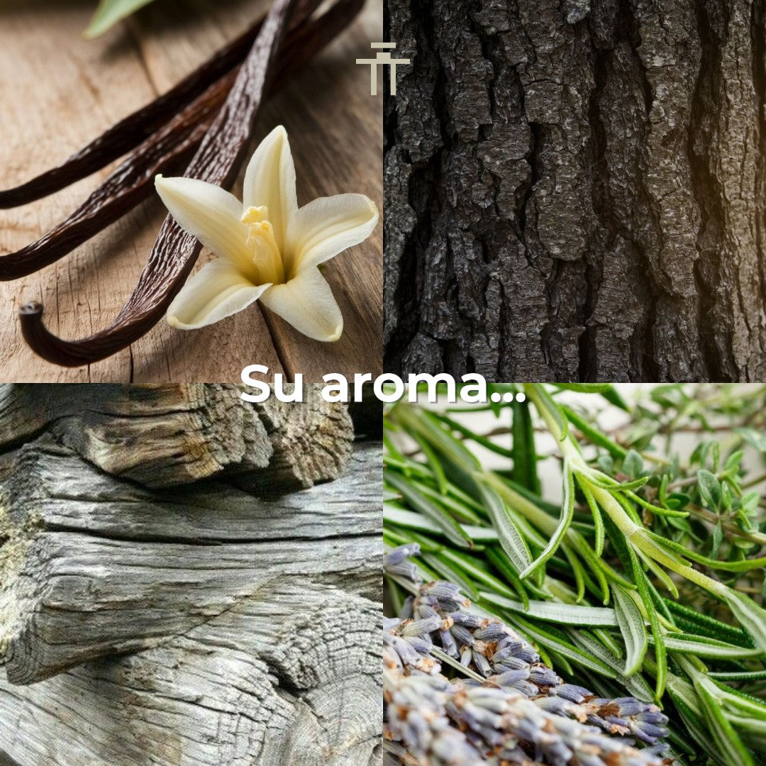 Maktoub Tonka Tonka 100ml Parfum Unisex