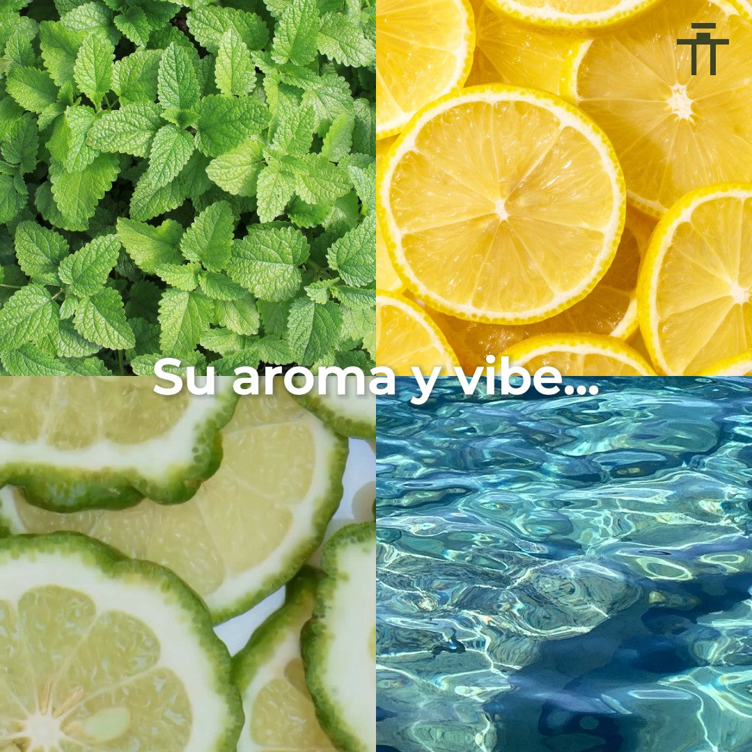 Armaf Odyssey Limoni Fresh 100ml EDP Unisex