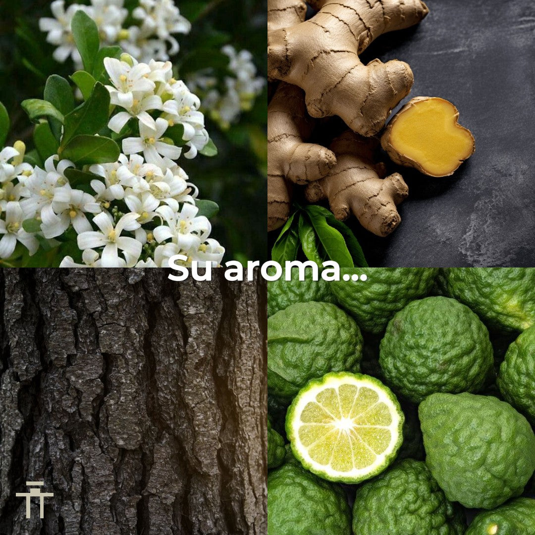 BlackOud Pyxis 50ml Extrait de Parfum Unisex