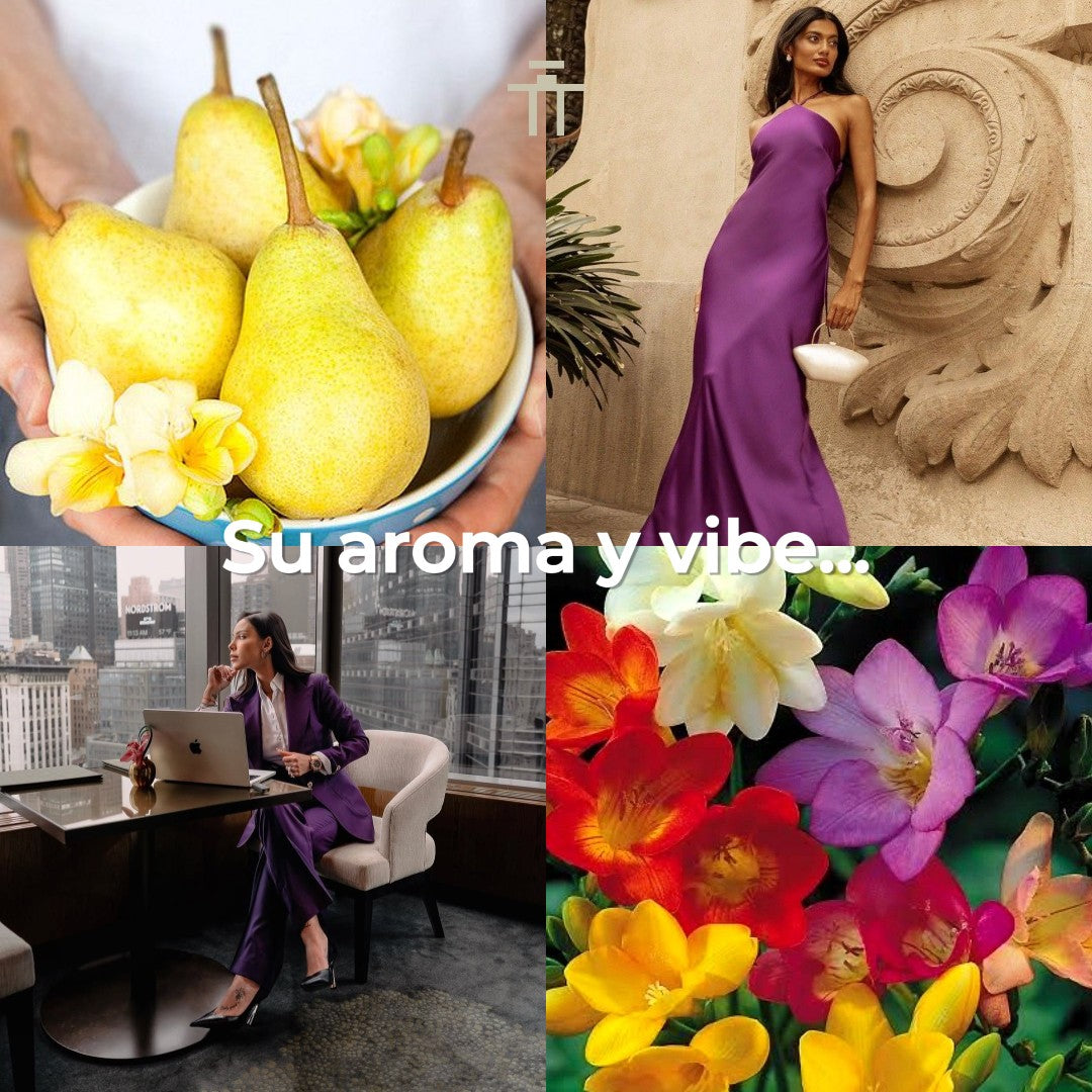 Versace Dylan Purple 100ml EDP Mujer - Attoperfumes